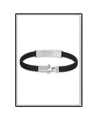 PULSEIRA POLICE