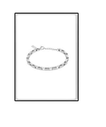 PULSEIRA POLICE
