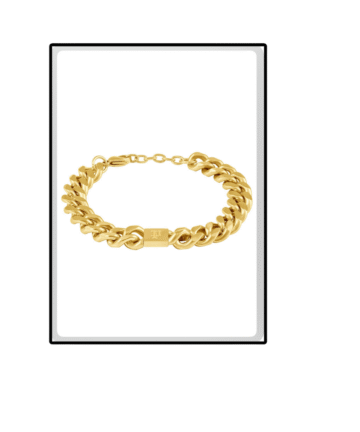 PULSEIRA POLICE