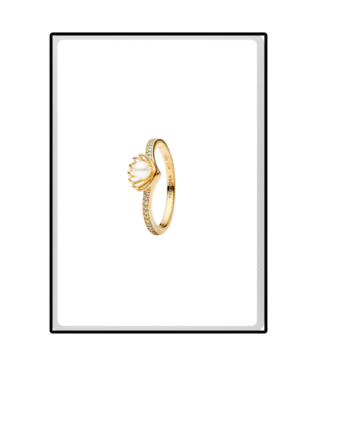 ANEL PANDORA ARIEL