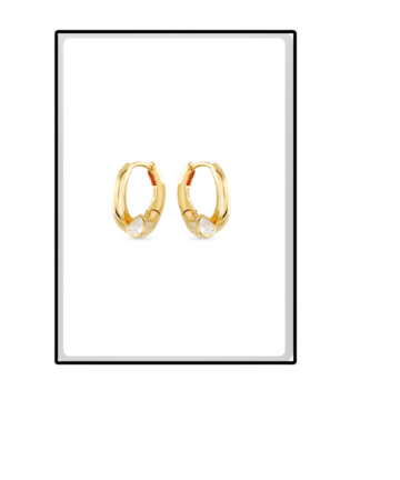BRINCO GUESS